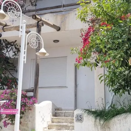 15 Bougainville