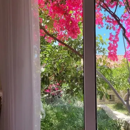 15 Bougainville ساراندا