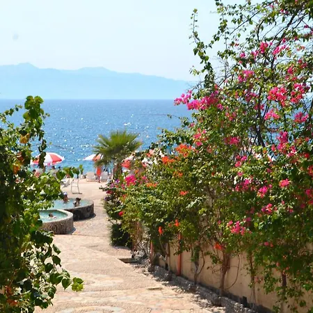 15 Bougainville فيلة *