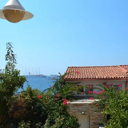 15 Bougainville * Sarandë