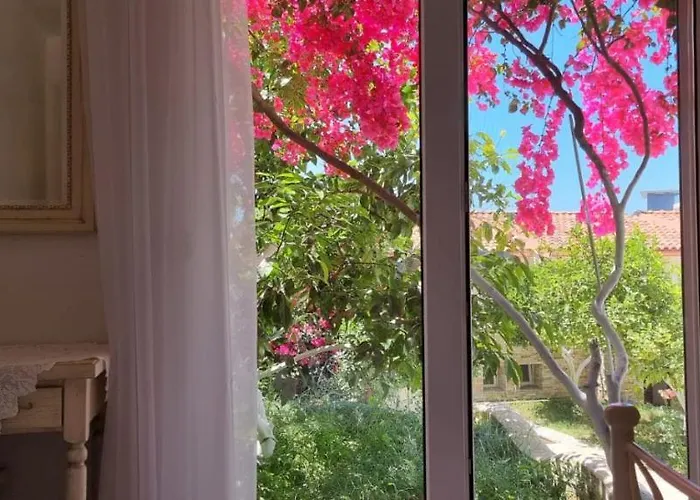 15 Bougainville ساراندا