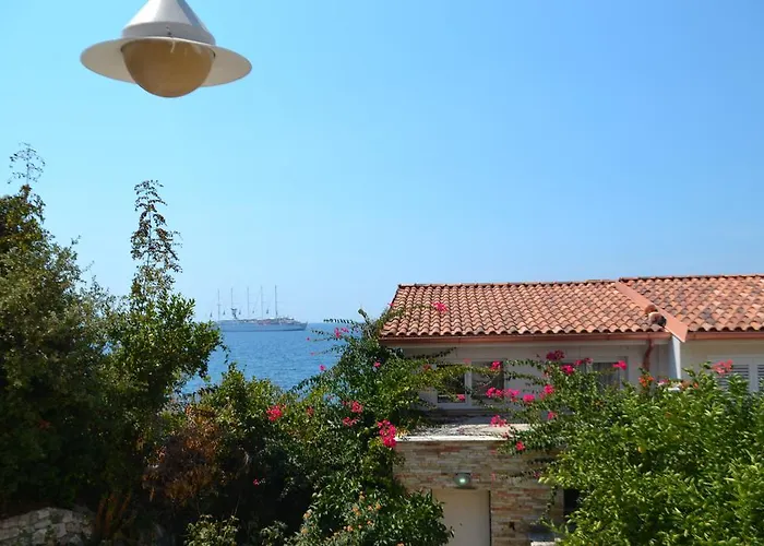 15 Bougainville * Sarandë