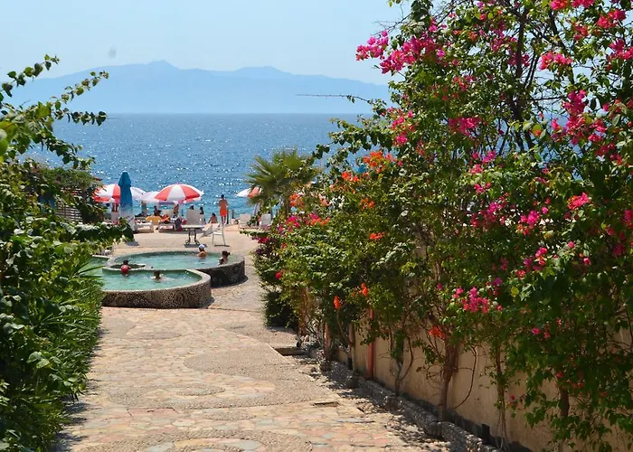 15 Bougainville فيلة ساراندا